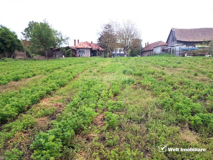 Bontida Central - Ideal pentru Dezvoltatori - Electric Castle - 5
