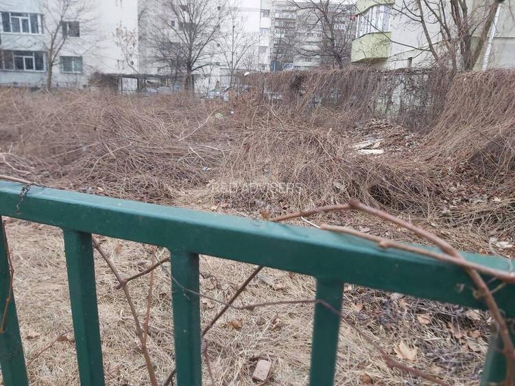 Teren Soseaua Pantelimon|Vedere Parc|Lac - 6