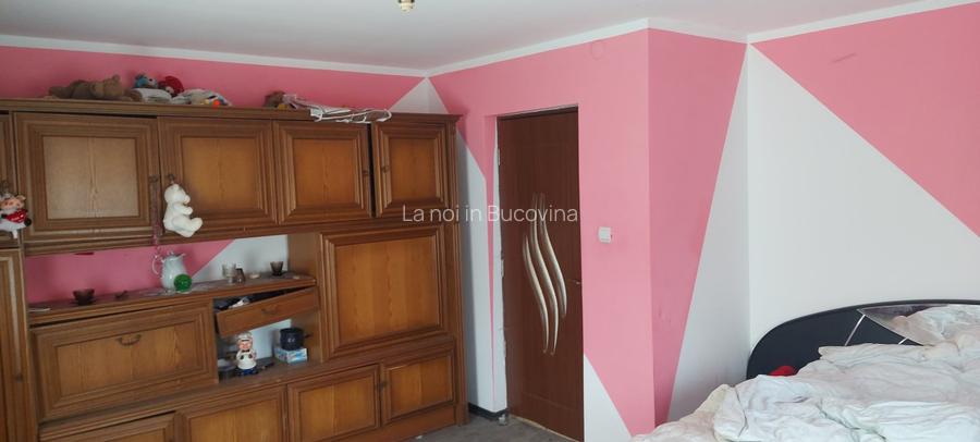 Spre vanzare proprietate Manastirea Humorului - Suceava - Bucovina - 6