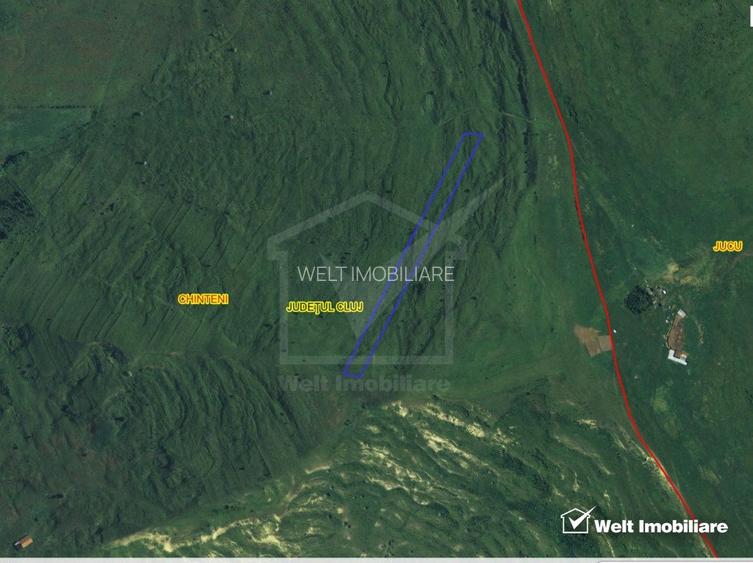 Teren extravilan in Feiurdeni cu acces din Campenesti, 11600 mp  - 3