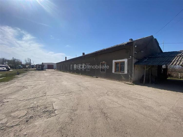 RECO hale cu teren generos Salonta - 7