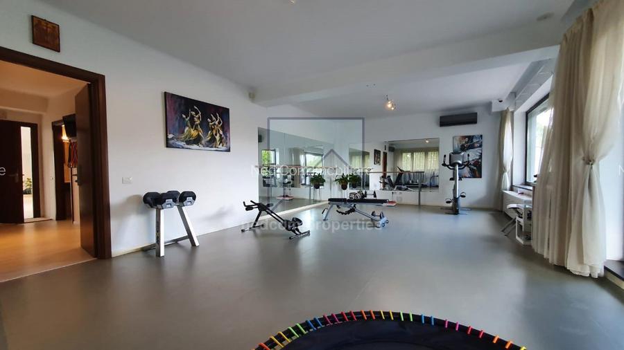 Vanzare Vila de exceptie - Domenii - 15