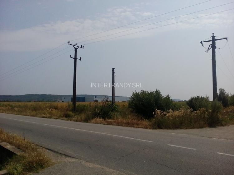 (332) Teren cu proiect : CONSTRUIRE CENTRU PENTRU RECICLAREA DESEURILOR TEXTILE - 4