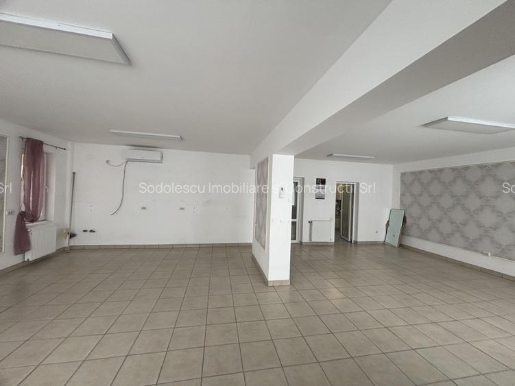 Spațiu zona Mehala - 7