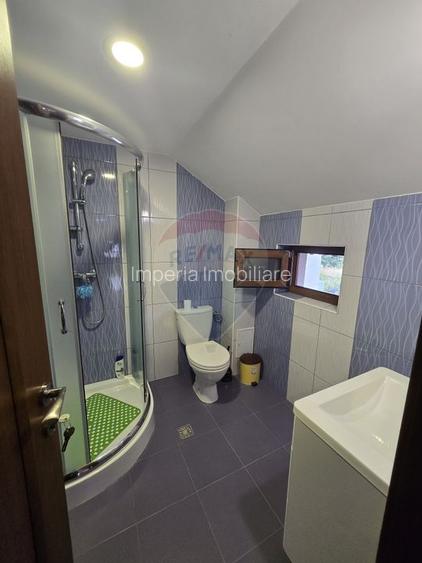 Casă de închiriat în zona Lascar Catargiu - 11