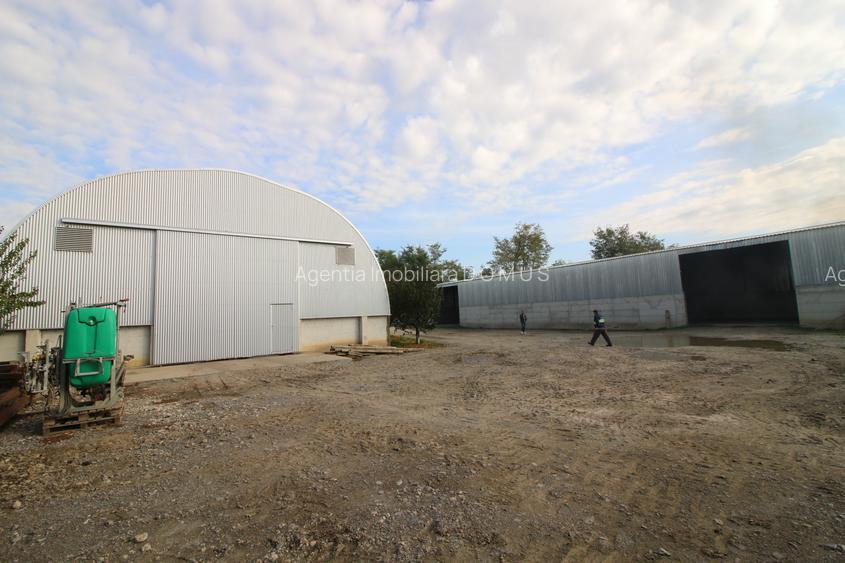 Baza de cereale in functiune , 4500 mp intravilan + 2 depozite (aprox 1000mp) - 8