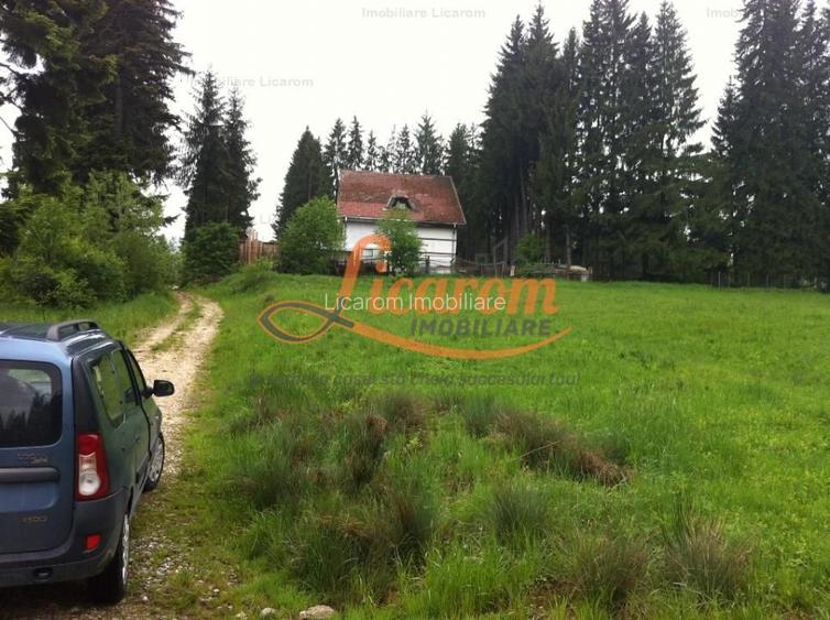Teren intravilan Cotul Donului,pretabil Hotel/pensiune. - 18