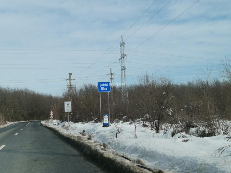 Teren langa padure - Sabareni - 6