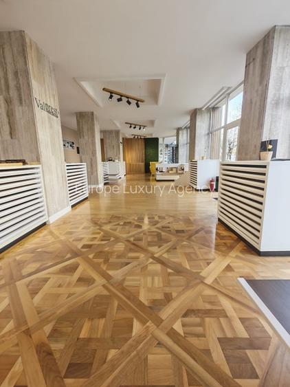 SPATIU COMERCIAL PREMIUM – 267 MP – VAD EXCEPTIONAL - 4