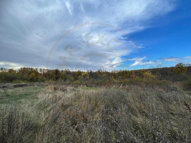 Teren intravilan 6975 mp front stradal 47.70 m in Mosoaia Arges si padure bonus - 6