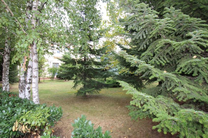 Sediu comercial perfect pentru clinica medicala, spital privat sau camin de batr - 15