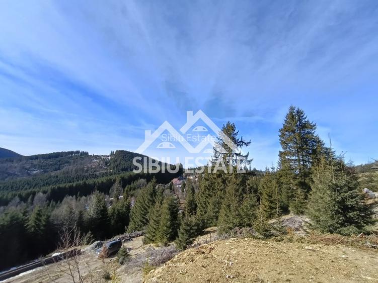 Teren de vânzare în zona montană a județului Alba - 8