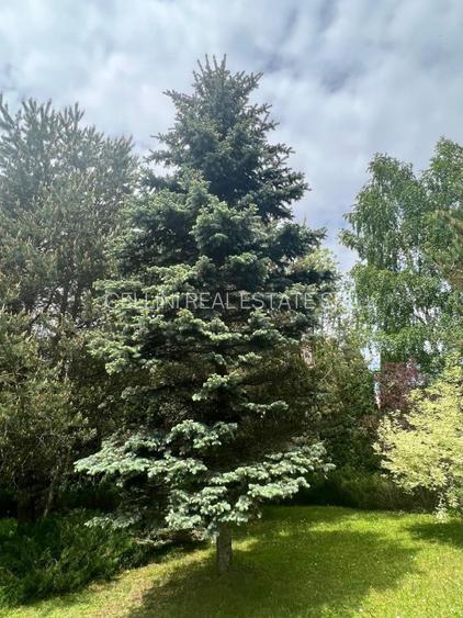 Vila de vis cu parc privat  — Panoramă Unică Spre Crucea Caraiman, - 26