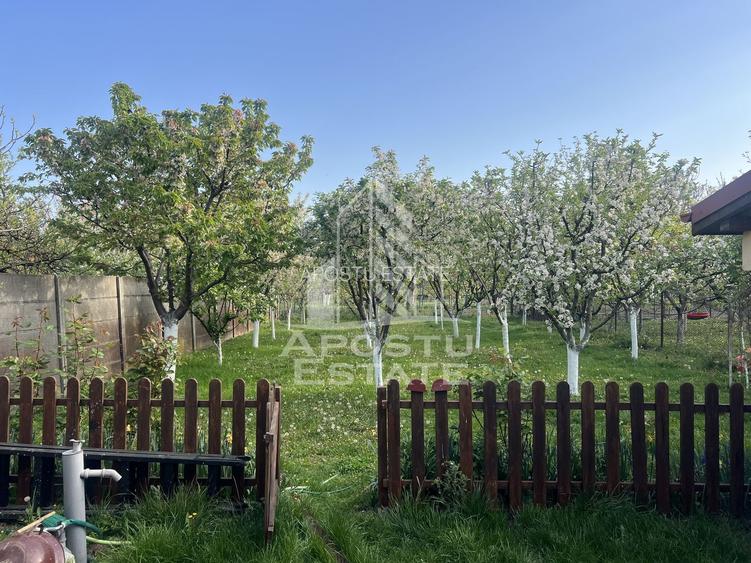 Casă individuala de vânzare cu teren de 588mp în zona Mehala Timisoara - 11