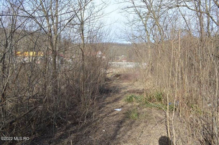 Valea Ursului - DN 7, Teren Stradal 2744 mp! - 8
