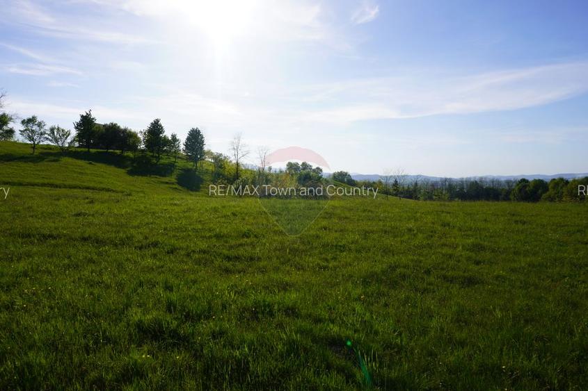 Teren 15,000mp Sighetu Marmatiei / Strada Mocăniței - 11