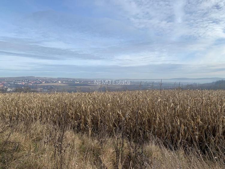 Teren intravilan de vânzare | Cajvana | 7.800 mp - 8