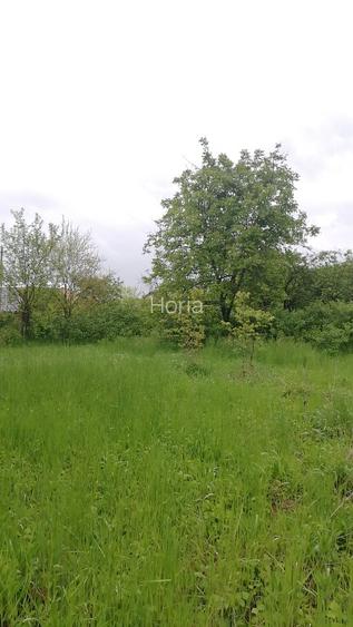 Vând teren in Tg. Mures, suprafata de 4512 mp si imobil sediu firma - 4