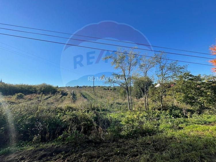 Teren 2.341 mp Uileacu de Munte front 26 ml la drum asfaltat - 3