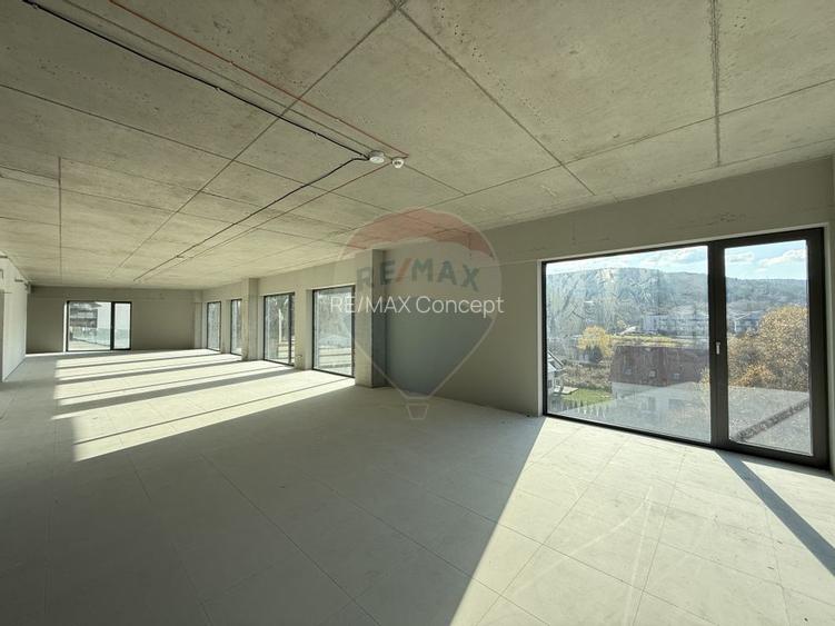 Spațiu de birouri de inchiriat, 300 mp, zona Manastur - 5