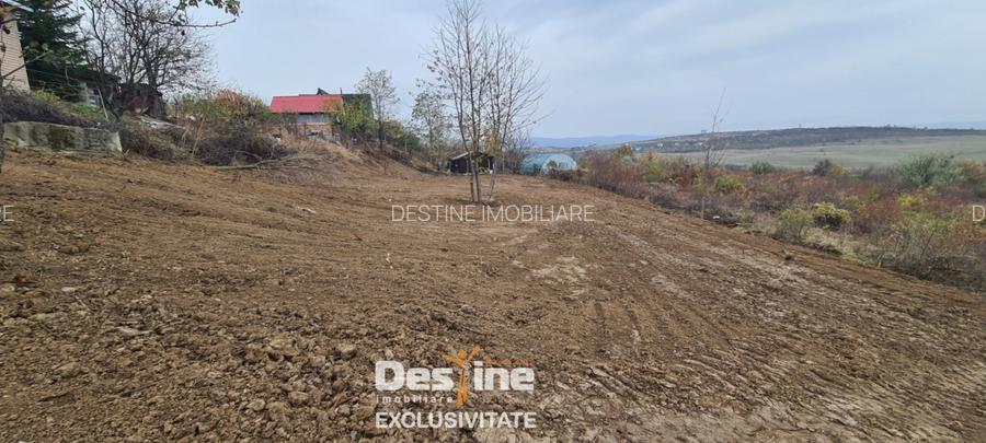 COMISION 0% CUMPARATOR - Teren intravilan 900 mp - Vișan, Barnova - 3