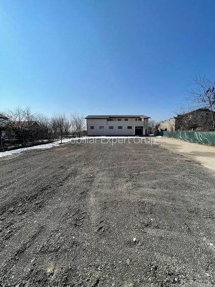 Hala 595 mp + teren 1500 mp Frumusani ( stradal ) - 5