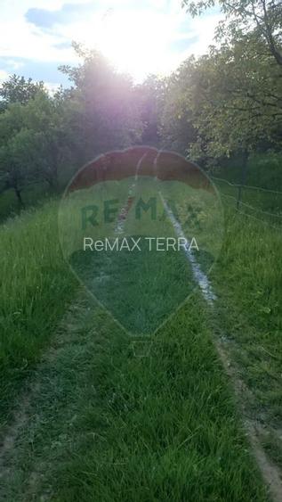 LOCATIE DEOSEBITA - Miron Costin - 4