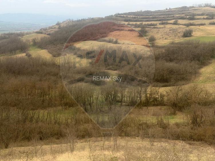 Teren agricol 18.800 mp în Crișeni, lângă Vurpăr - 4