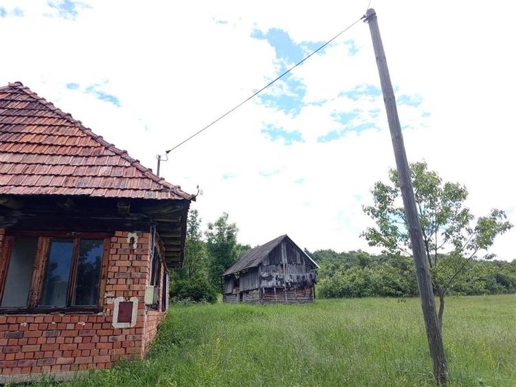 Borlovenii Noi, Teren Drept, 16000mp, la Limita Localitatii - 15