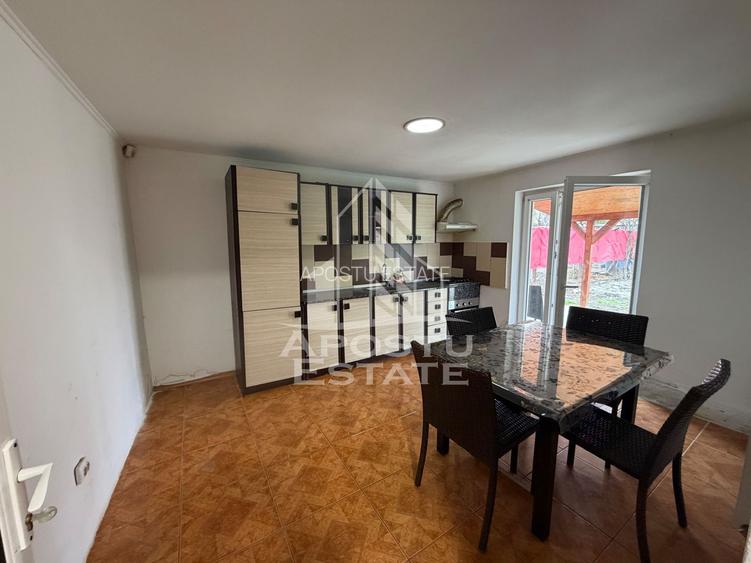 Casă individuală , centrală proprie Pet friendly , Sagului- Timisoara - 5