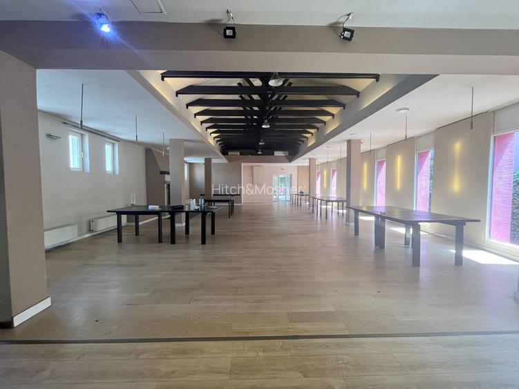 Spatiu de inchiriat -Lipovei - 9