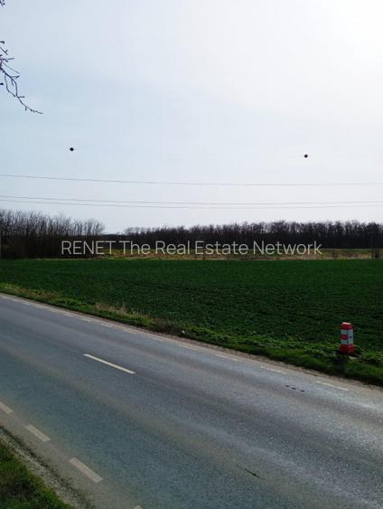 Teren intravilan 5.000 m² cu 40 m deschidere la DN2A – lângă Kaufland Slobozia - 8