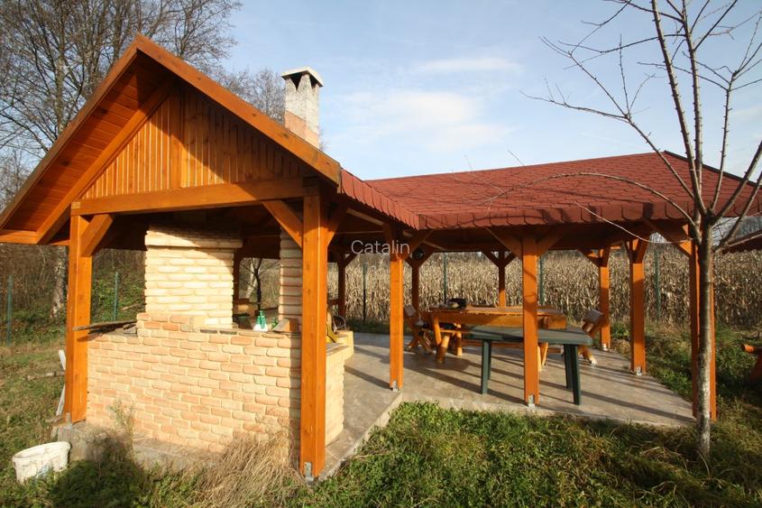 Proprietar vand parcela ptr. cabana de vacanta in Muntii Poiana Ruscai - 5