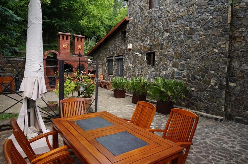 Campina Valea Doftanei Sotrile Paltinu - 9