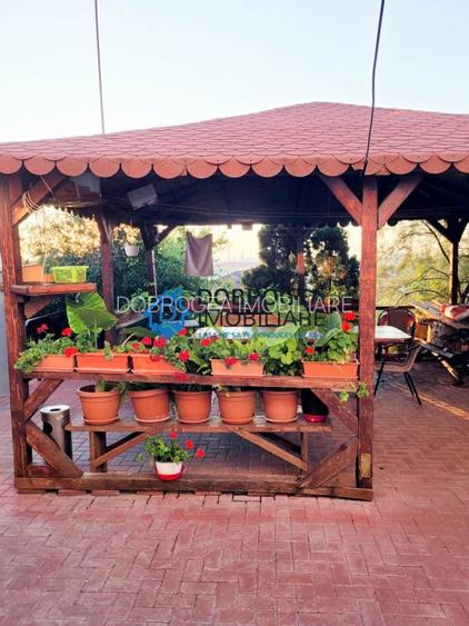 E3, Casa D+P+M, 317 mp. teren 508 mp - 4