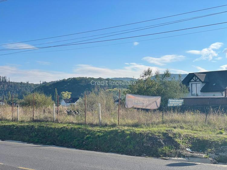 Teren DN73 Rasnov 1441mp! - 5