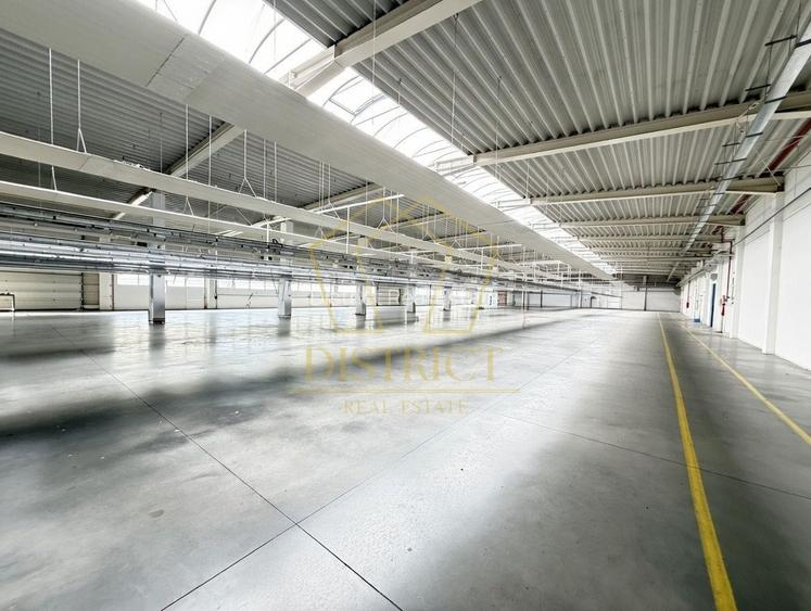 Hala industriala 4.300mp | Sagului | Timisoara | - 5