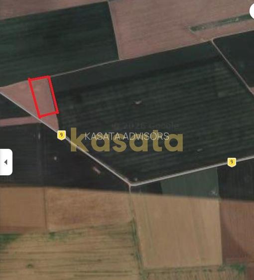 Teren agricol 23.000 mp – 2 Mai, Constanța | Deschidere dublă la drum - 3