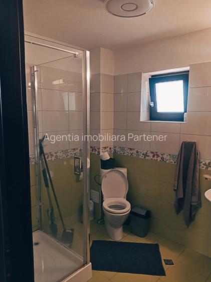 Proprietate Specială Pitești / Bascov - 14