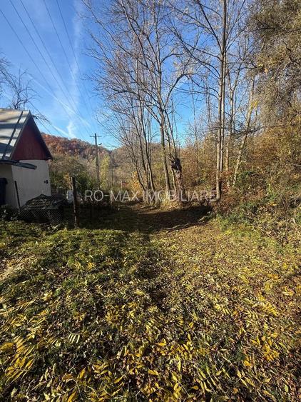 Teren langa pădure 6400mp+casa demolabila-deschidere 35 ml - 18