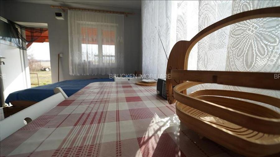 MICRO-FERMA + CASA IN VOIVOZI - BIHOR - 19