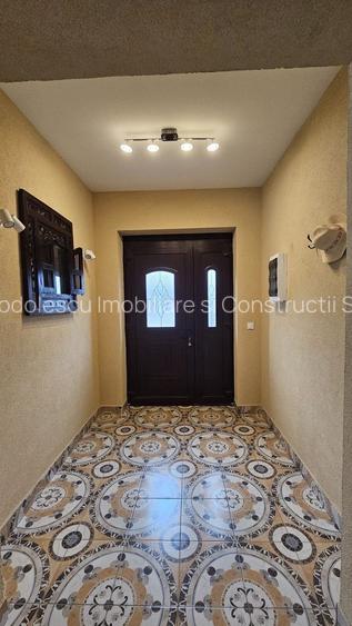 Vila individuala la 30 km de Timișoara - 22