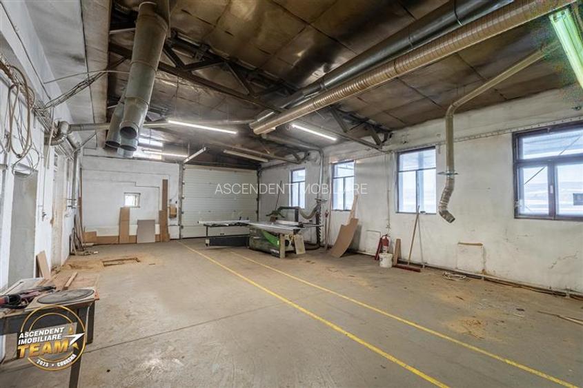 Complex industrial modern,acces dublu, potential apreciabil,Valea Crișului, - 50