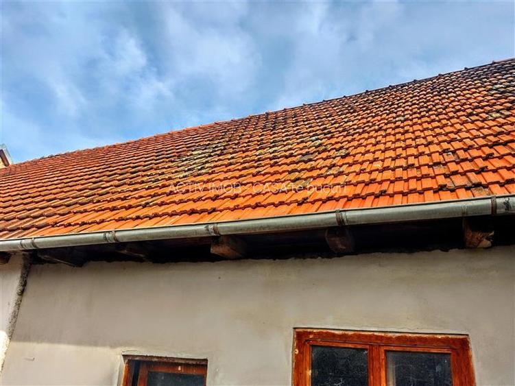 Ciclova, Casa cu Spatiu Comercial la Sosea, ZERO COMISION - 22