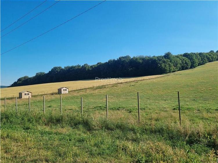 De vanzare teren intravilan 3.1 Ha, Sancraul De Mures, Mures - 3