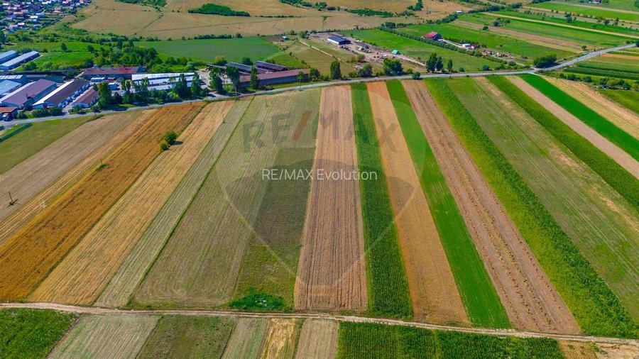 TEREN extravilan- 6 E/MP- CU PLANTATIE DE TRANDAFIRI! Teliu 7000mp - 6