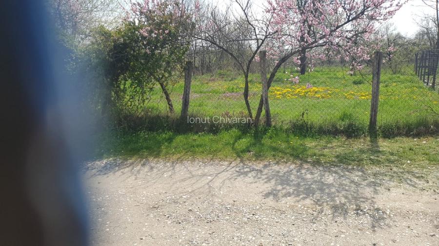 OPORTUNITATE UNICĂ ÎN TOMȘANI (LÂNGĂ HOREZU) – ANSAMBLU TERENURI 9.364 MP - 3