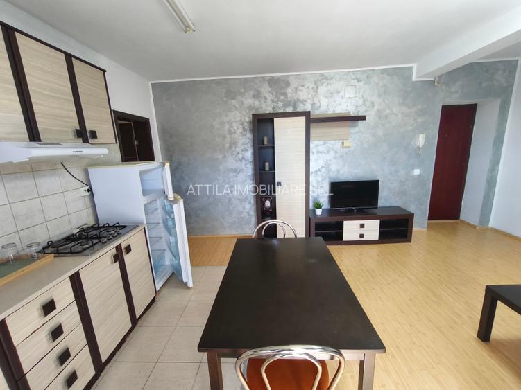 Dumbravita 2 camere 350 euro - 3