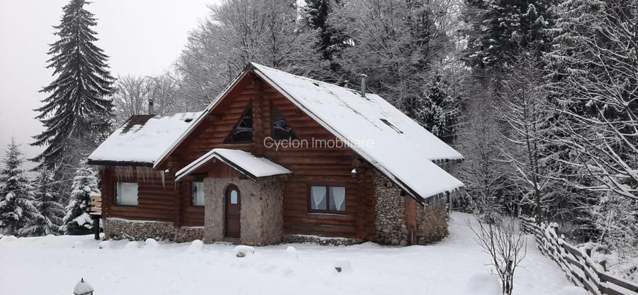 Casa de vacanta sau pensiune situata langa Cabana Trei Brazi Predeal - 49