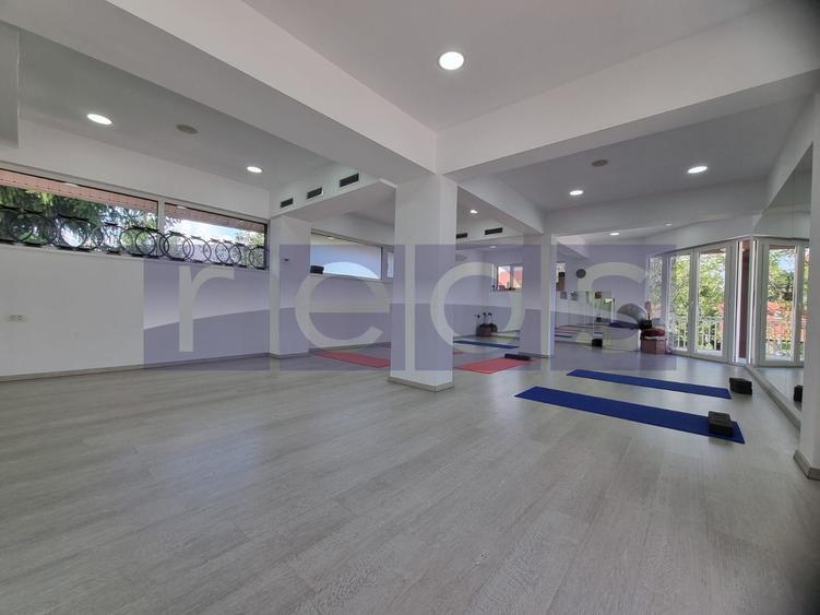 INCHIRIERE SPATIU COMERCIAL-2 VILE | ZONA MOGOSOAIA - 25